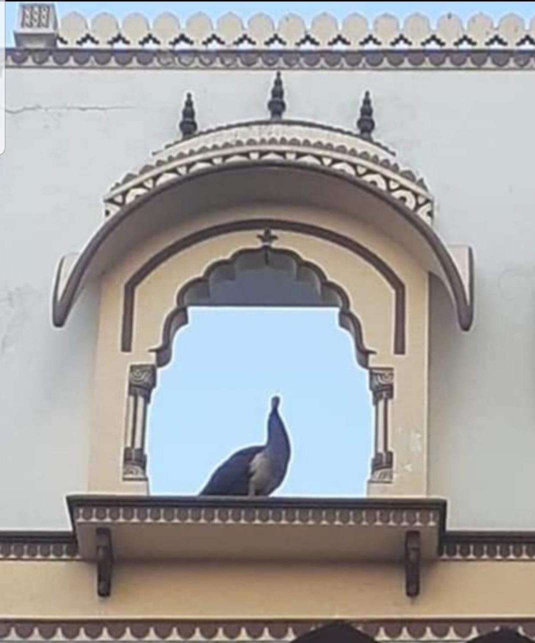 Апартаменты Sureli Haveli Джапур Экстерьер фото